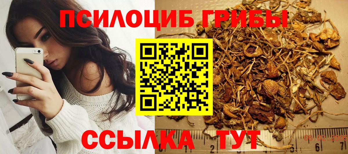 Псилоцибиновые грибы Cubensis  Вход с VPN  Иркутск 